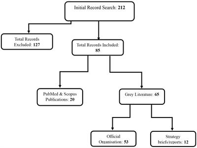 Current data science capacity building initiatives for health researchers in LMICs: global & regional efforts